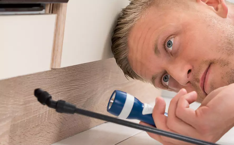 Top-Notch Pest Control in Palmdale