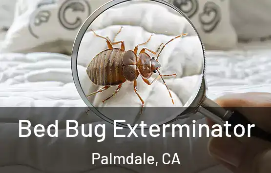  Bed Bug Exterminator Palmdale, CA