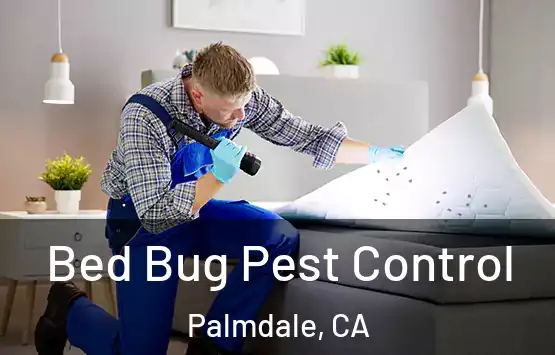  Bed Bug Pest Control Palmdale, CA