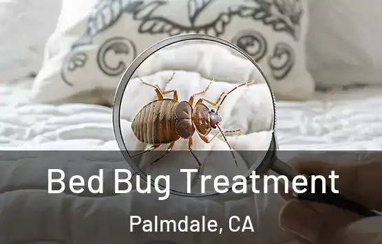  Bed Bug Treatment Palmdale, CA