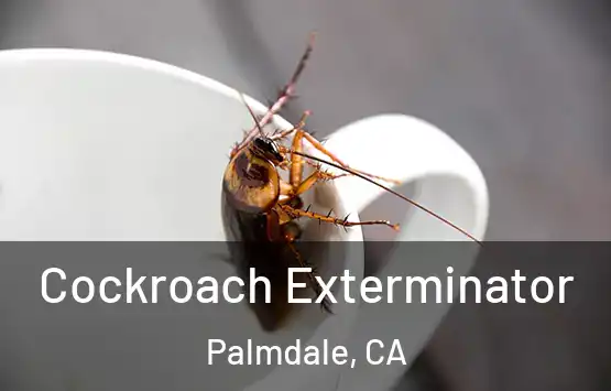  Cockroach Exterminator Palmdale, CA