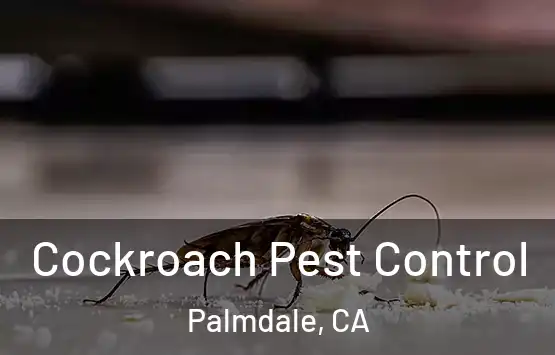  Cockroach Pest Control Palmdale, CA