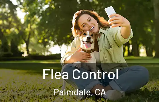  Flea Control Palmdale, CA