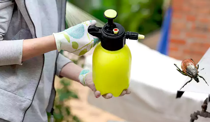 Ticks Pest Control Palmdale, California