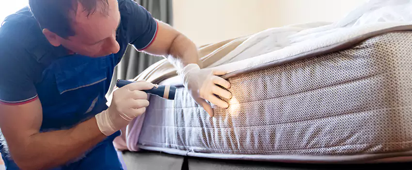 bed-bug-exterminator in Palmdale, CA