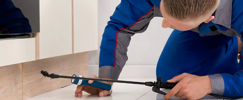 Ant Control for Bedrooms in Palmdale, CA