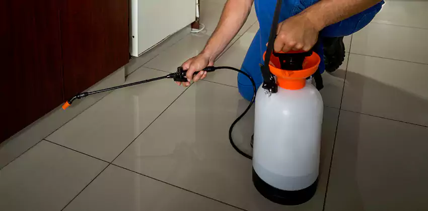 Commercial Pest Extermination for Offices in Palmdale, CA