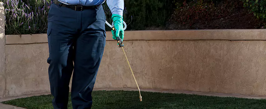 Emergency Pest Extermination for Children and Pets Palmdale, CA