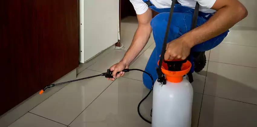 Commercial Flea Exterminator Company in Palmdale, CA
