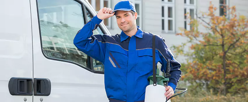 Long-Term Rodent Prevention and Monitoring Plans in Palmdale, CA