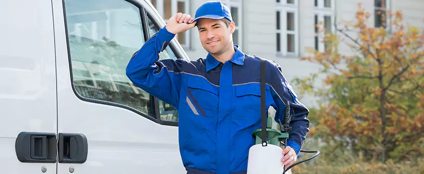 Organic and Chemical Spider Control Options Palmdale, CA