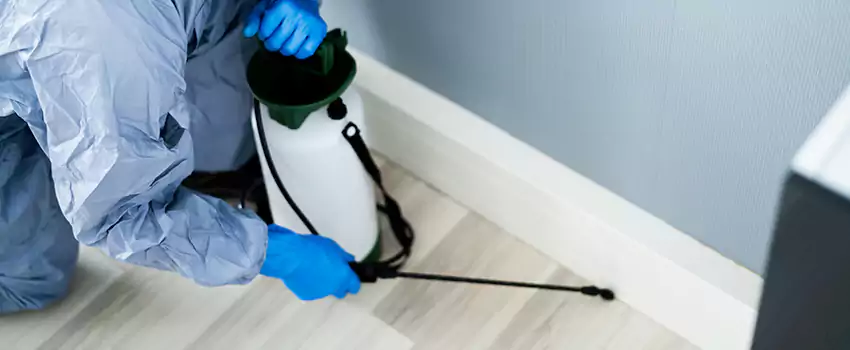 cockroach-exterminator in Palmdale, CA