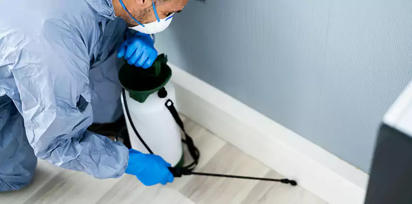 commercial-pest-exterminator in Palmdale, CA
