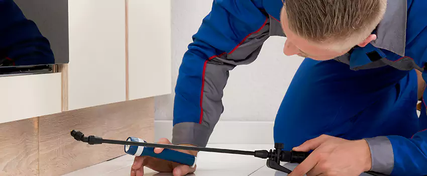 Pest Exterminator Company in Palmdale, CA