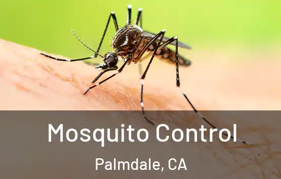  Mosquito Control Palmdale, CA