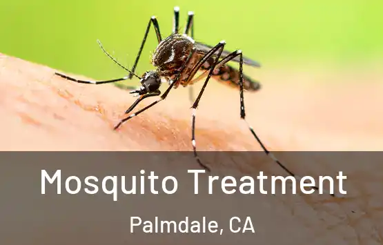  Mosquito Treatment Palmdale, CA