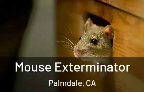  Mouse Exterminator Palmdale, CA