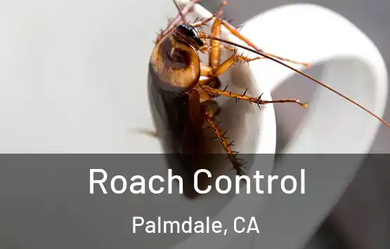  Roach Control Palmdale, CA