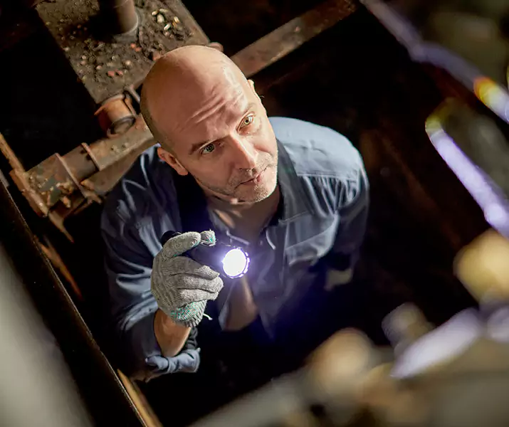 About Pest Inspection Palmdale