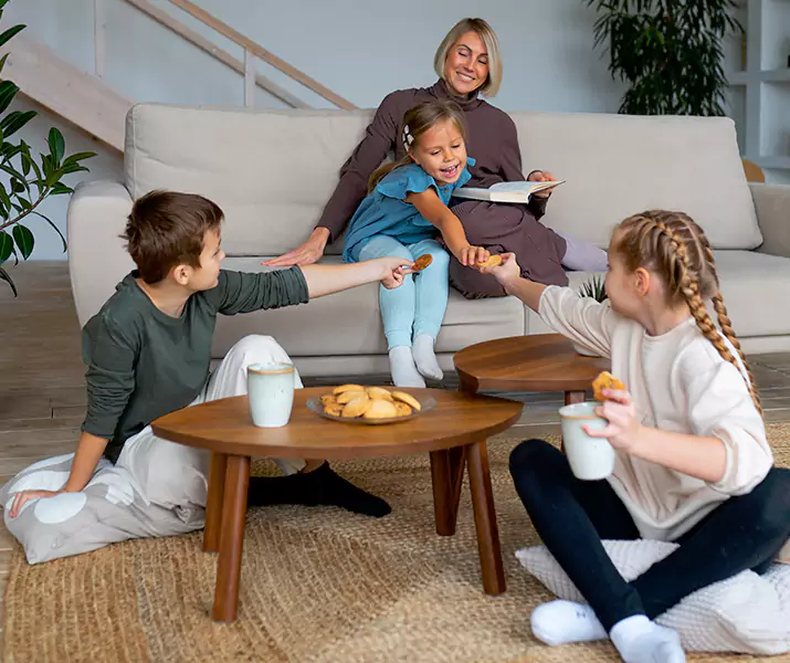 About Spider Exterminator Palmdale