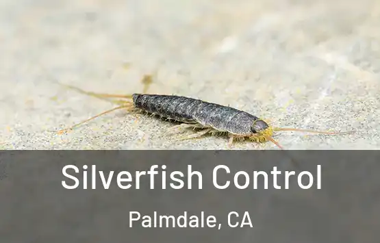  Silverfish Control Palmdale, CA