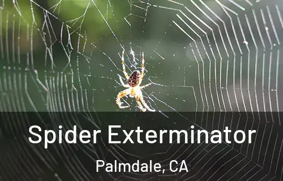  Spider Exterminator Palmdale, CA
