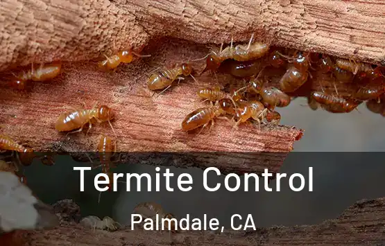  Termite Control Palmdale, CA