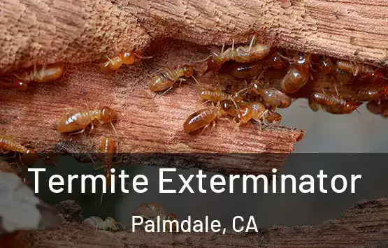  Termite Exterminator Palmdale, CA