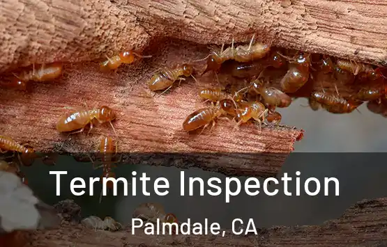  Termite Inspection Palmdale, CA