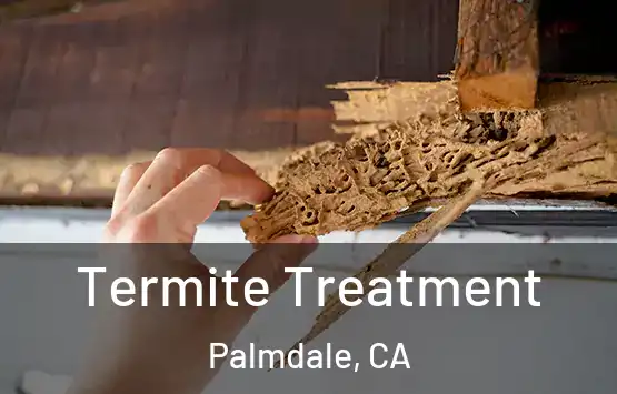  Termite Treatment Palmdale, CA