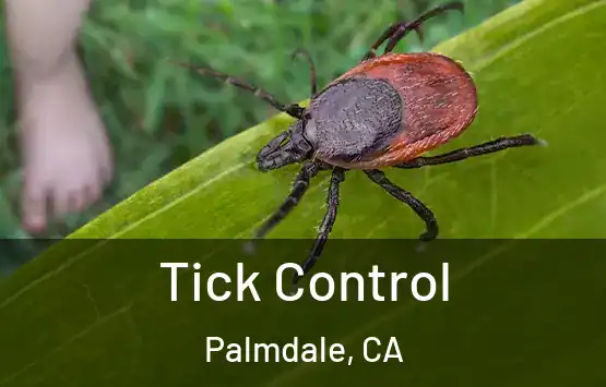 Tick Control Palmdale, CA