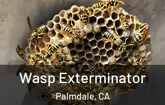  Wasp Exterminator Palmdale, CA