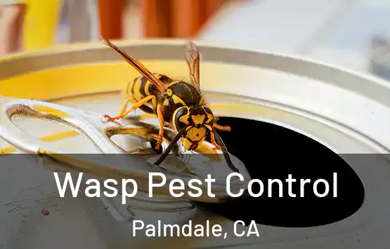  Wasp Pest Control Palmdale, CA