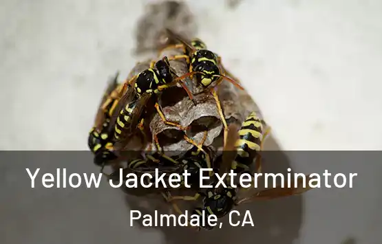 Yellow Jacket Exterminator Palmdale, CA